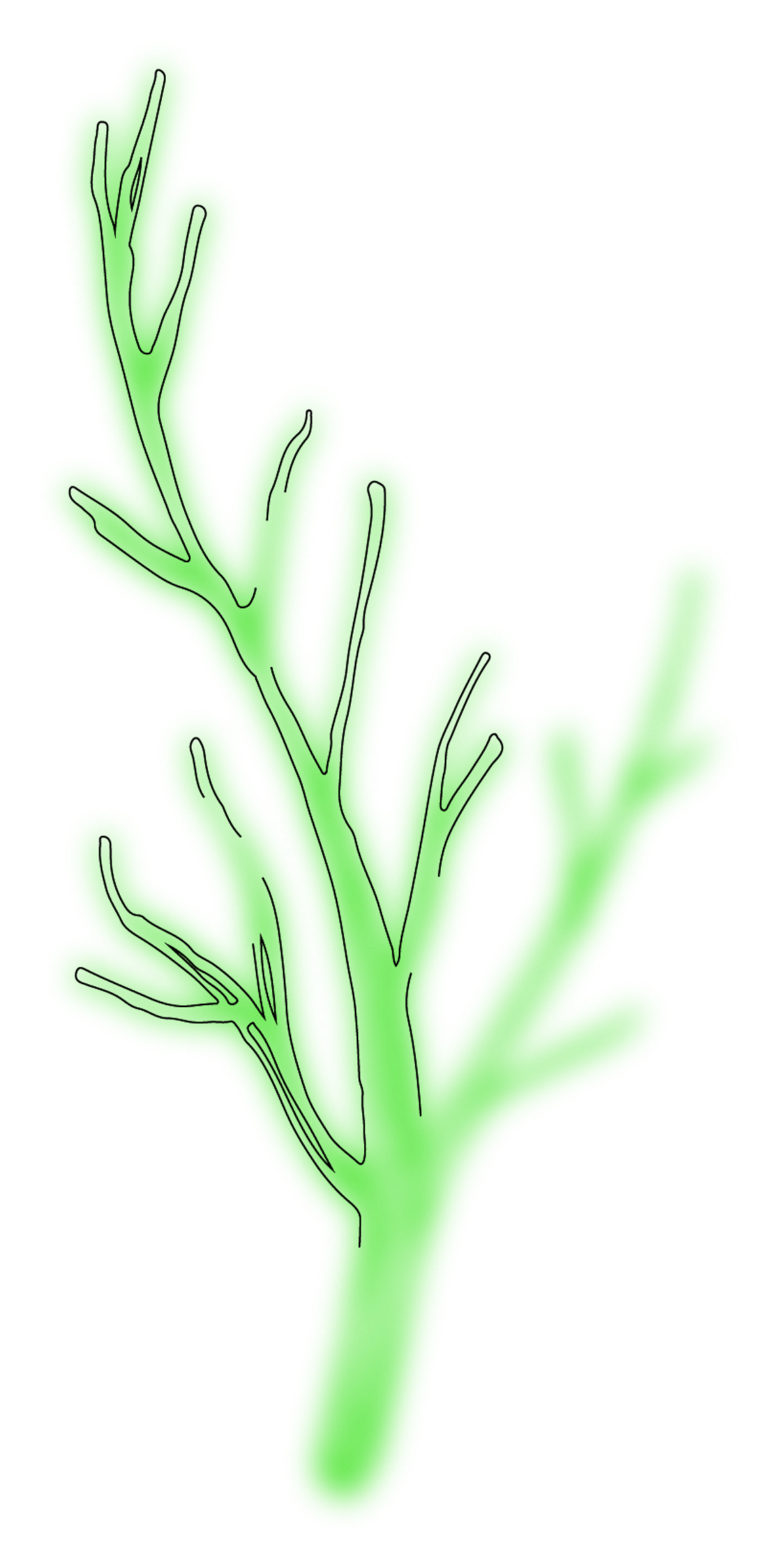A green illustration of a branch.
